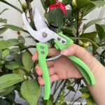 Stainless Steel Bonsai Trimmer - 15 2 - zhongdahongyuan.com